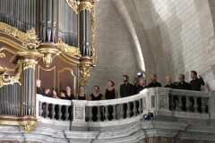 Musiques à la cathédrale de Saint-Pons de Thomières